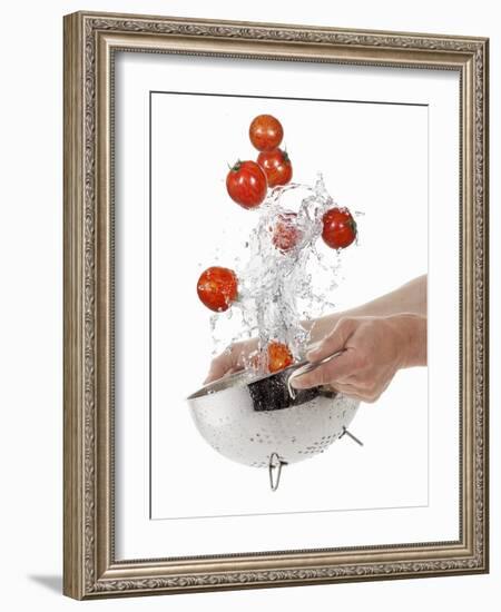 Washing Tiger Tomatoes in a Colander-Kröger & Gross-Framed Photographic Print