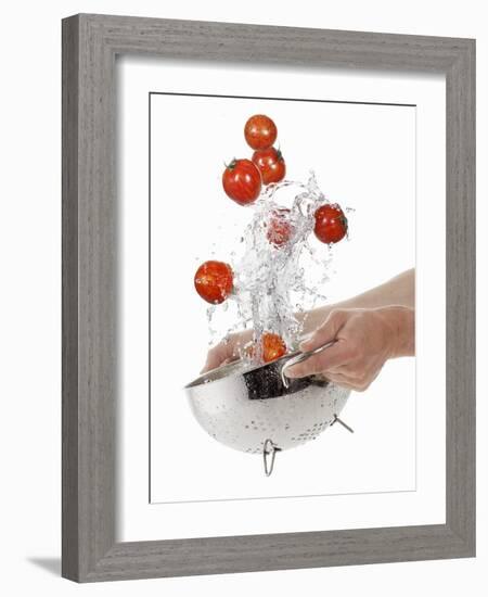 Washing Tiger Tomatoes in a Colander-Kröger & Gross-Framed Photographic Print