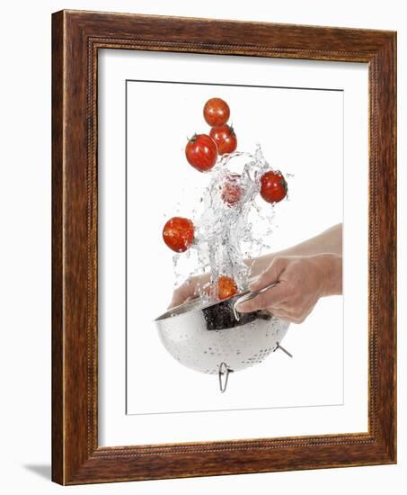 Washing Tiger Tomatoes in a Colander-Kröger & Gross-Framed Photographic Print