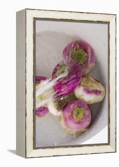 Washing Turnips-Foodcollection-Framed Premier Image Canvas