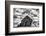 Washington. Abandoned Leaning Schoolhouse in Palouse Farm Country-Dennis Flaherty-Framed Photographic Print