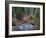 Washington, Adult Virginia Rail on a Marshy Shore on Lake Washington-Gary Luhm-Framed Photographic Print