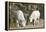 Washington, Alpine Lakes Wilderness, Mountain Goats, Nanny and Kid-Jamie And Judy Wild-Framed Premier Image Canvas