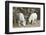 Washington, Alpine Lakes Wilderness, Mountain Goats, Nanny and Kid-Jamie And Judy Wild-Framed Photographic Print