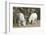 Washington, Alpine Lakes Wilderness, Mountain Goats, Nanny and Kid-Jamie And Judy Wild-Framed Photographic Print