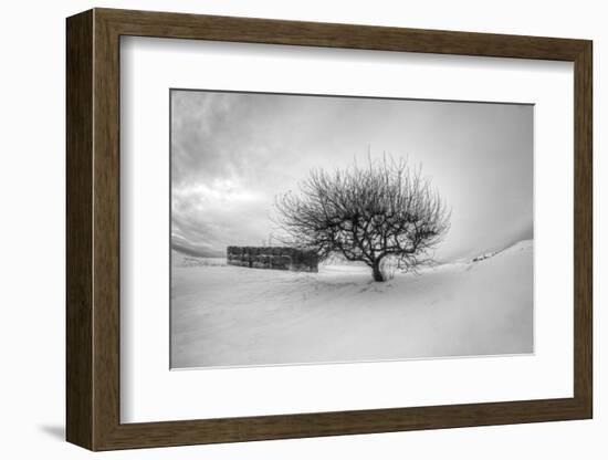 Washington, Apple Tree and Hay Bales in Winter with Storm Clouds-Terry Eggers-Framed Photographic Print