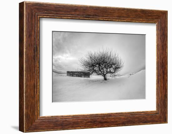 Washington, Apple Tree and Hay Bales in Winter with Storm Clouds-Terry Eggers-Framed Photographic Print