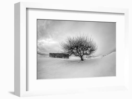 Washington, Apple Tree and Hay Bales in Winter with Storm Clouds-Terry Eggers-Framed Photographic Print