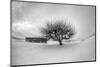 Washington, Apple Tree and Hay Bales in Winter with Storm Clouds-Terry Eggers-Mounted Photographic Print