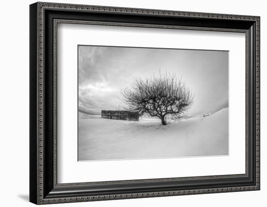 Washington, Apple Tree and Hay Bales in Winter with Storm Clouds-Terry Eggers-Framed Photographic Print