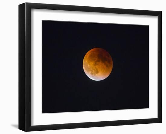Washington, Beginning of the End of Blood Moon in Seattle as Sunlight Strikes the Moon's Lower Edge-Gary Luhm-Framed Photographic Print
