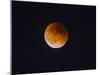 Washington, Beginning of the End of Blood Moon in Seattle as Sunlight Strikes the Moon's Lower Edge-Gary Luhm-Mounted Photographic Print