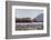 Washington, Bull Stellar Sea Lion Joust on Offshore Rock Near Harem, Off Tatoosh Island-Gary Luhm-Framed Photographic Print