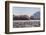 Washington, Bull Stellar Sea Lion Joust on Offshore Rock Near Harem, Off Tatoosh Island-Gary Luhm-Framed Photographic Print