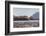 Washington, Bull Stellar Sea Lion Joust on Offshore Rock Near Harem, Off Tatoosh Island-Gary Luhm-Framed Photographic Print