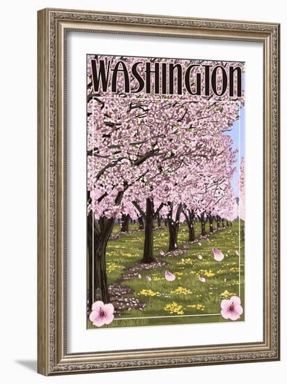 Washington - Cherry Blossoms-Lantern Press-Framed Premium Giclee Print