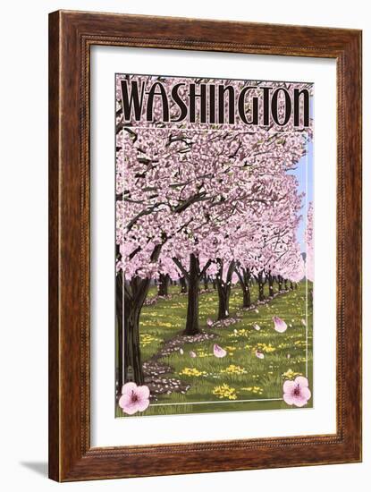 Washington - Cherry Blossoms-Lantern Press-Framed Art Print