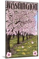 Washington - Cherry Blossoms-Lantern Press-Mounted Art Print