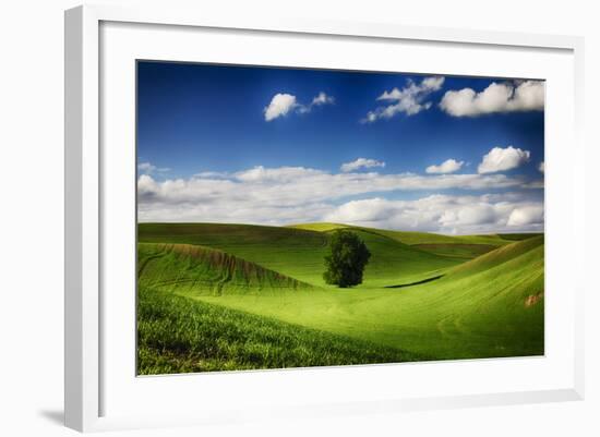 Washington, Colfax, Rolling Wheat Fields with Lone Tree-Terry Eggers-Framed Photographic Print