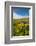 Washington, Columbia Hills SP. Spring Wildflowers at Columbia Hills SP-Richard Duval-Framed Photographic Print