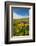 Washington, Columbia Hills SP. Spring Wildflowers at Columbia Hills SP-Richard Duval-Framed Photographic Print