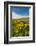 Washington, Columbia Hills SP. Spring Wildflowers at Columbia Hills SP-Richard Duval-Framed Photographic Print