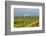 Washington, Columbia River Gorge. Rows of Barbera Grapes with Mt. Hood in Background-Richard Duval-Framed Photographic Print