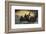 Washington Crossing the Delaware-Emanuel Gottlieb Leutze-Framed Art Print