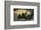 Washington Crossing the Delaware-Emanuel Gottlieb Leutze-Framed Art Print