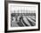 Washington, D.C., Switch Yards, Union Station-null-Framed Photo