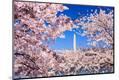 Premium Photographic Print