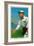 Washington D.C., Washington Nationals, Gabby Street, Baseball Card-Lantern Press-Framed Art Print
