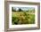 Washington, Dayton. Barn and Hay Rake, Walla Walla Wine Country-Richard Duval-Framed Photographic Print