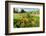 Washington, Dayton. Barn and Hay Rake, Walla Walla Wine Country-Richard Duval-Framed Photographic Print