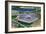 Washington DC, Aerial View of the Pentagon Building-Lantern Press-Framed Art Print