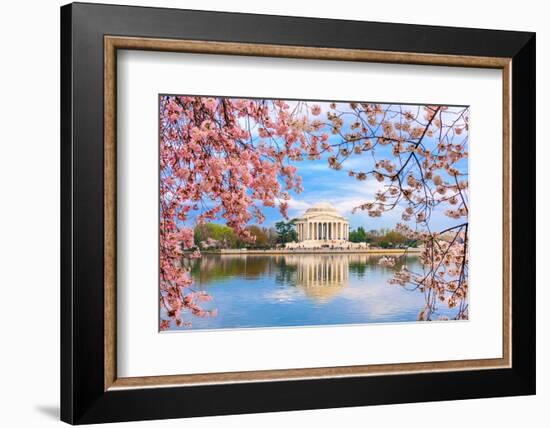 Washington, DC at the Tidal Basin and Jefferson Memorial during Spring.-SeanPavonePhoto-Framed Photographic Print