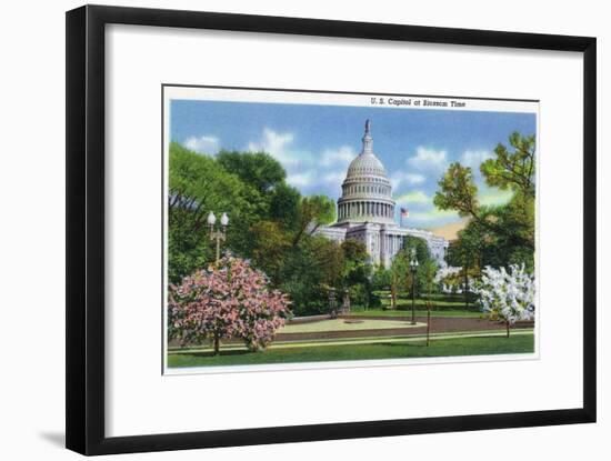 Washington DC, Exterior View of the US Capitol Building at Blossom Time-Lantern Press-Framed Art Print