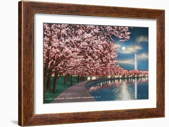 Washington DC, Potomac Park and Blossoming Cherry Trees Scene at Night-Lantern Press-Framed Art Print