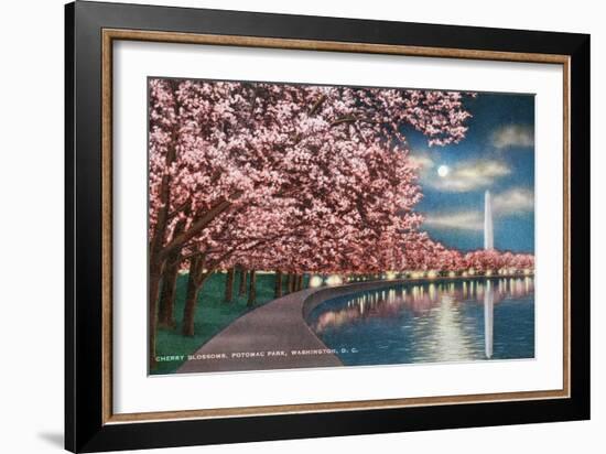 Washington DC, Potomac Park and Blossoming Cherry Trees Scene at Night-Lantern Press-Framed Art Print