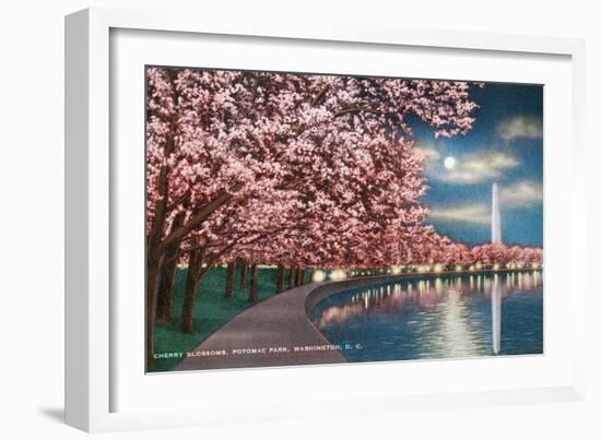 Washington DC, Potomac Park and Blossoming Cherry Trees Scene at Night-Lantern Press-Framed Art Print