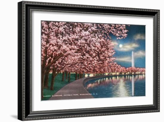 Washington DC, Potomac Park and Blossoming Cherry Trees Scene at Night-Lantern Press-Framed Art Print