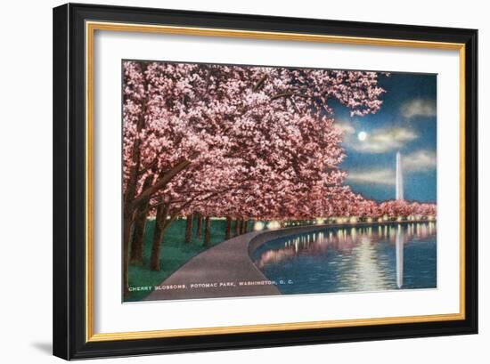 Washington DC, Potomac Park and Blossoming Cherry Trees Scene at Night-Lantern Press-Framed Art Print