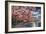 Washington DC, Potomac Park and Blossoming Cherry Trees Scene at Night-Lantern Press-Framed Art Print