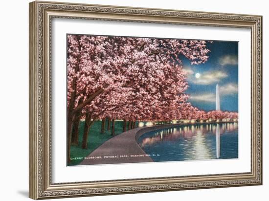 Washington DC, Potomac Park and Blossoming Cherry Trees Scene at Night-Lantern Press-Framed Premium Giclee Print