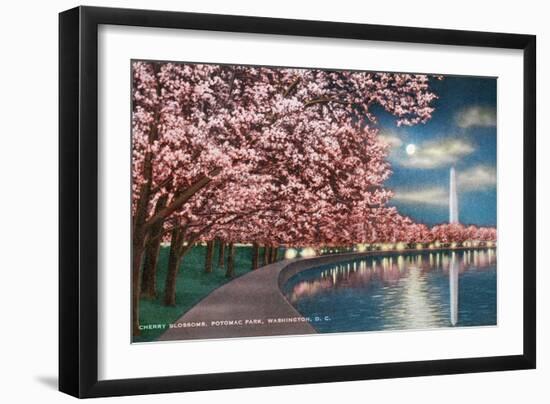 Washington DC, Potomac Park and Blossoming Cherry Trees Scene at Night-Lantern Press-Framed Premium Giclee Print