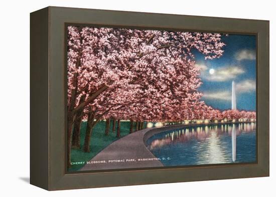 Washington DC, Potomac Park and Blossoming Cherry Trees Scene at Night-Lantern Press-Framed Stretched Canvas