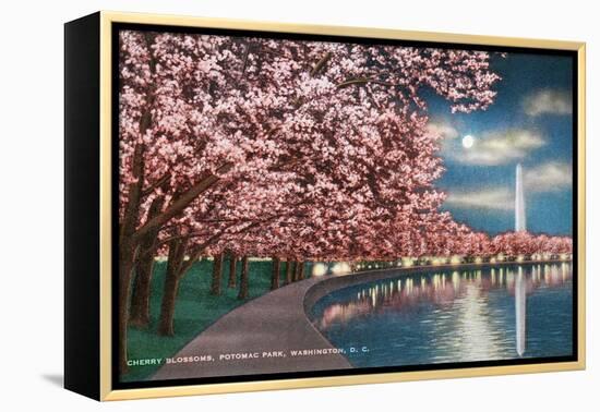 Washington DC, Potomac Park and Blossoming Cherry Trees Scene at Night-Lantern Press-Framed Stretched Canvas