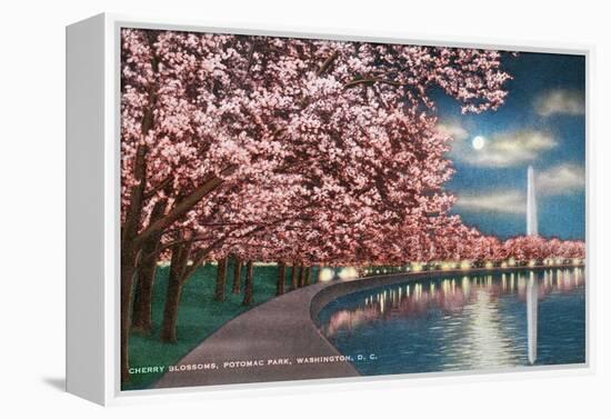 Washington DC, Potomac Park and Blossoming Cherry Trees Scene at Night-Lantern Press-Framed Stretched Canvas