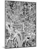 Washington DC Street Map-Michael Tompsett-Mounted Art Print