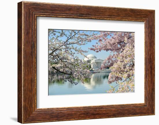 Washington Dc, Thomas Jefferson Memorial during Cherry Blossom Festival in Spring - United States-Orhan-Framed Photographic Print